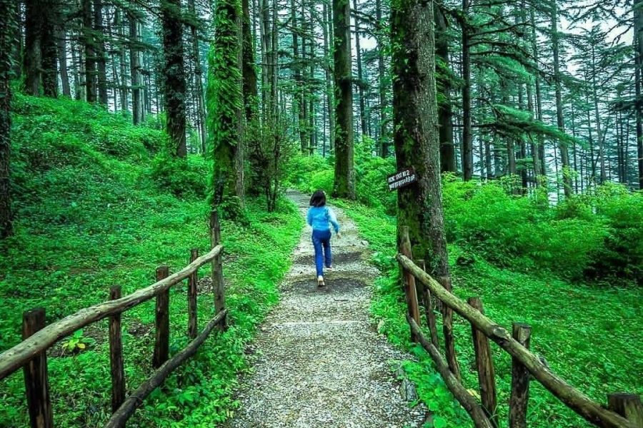 Delhi to Dhanaulti Tour Package