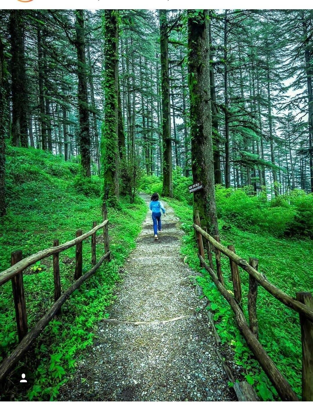 Delhi to Dhanaulti Tour Package