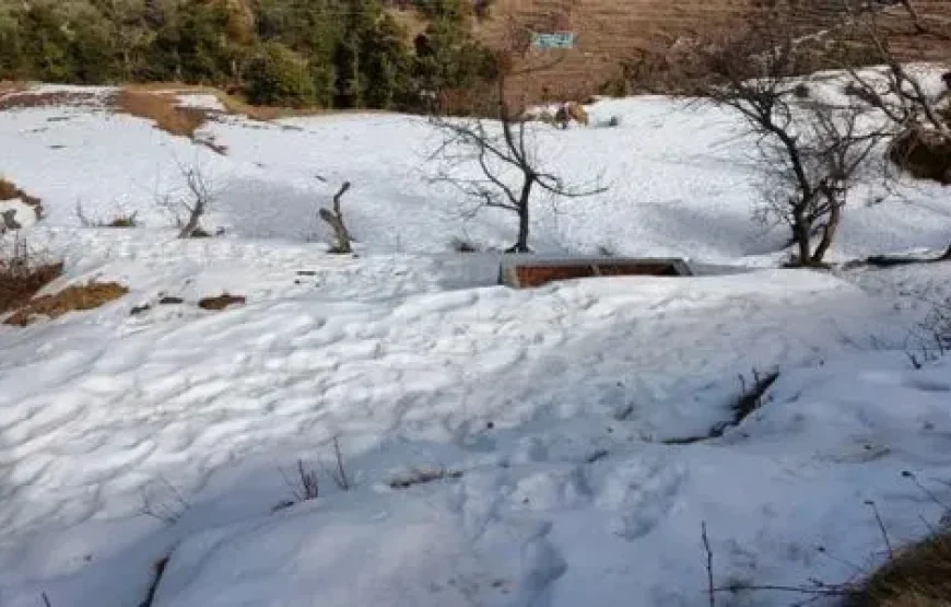 Delhi to Dhanaulti Tour Package: A Journey Through the Hills