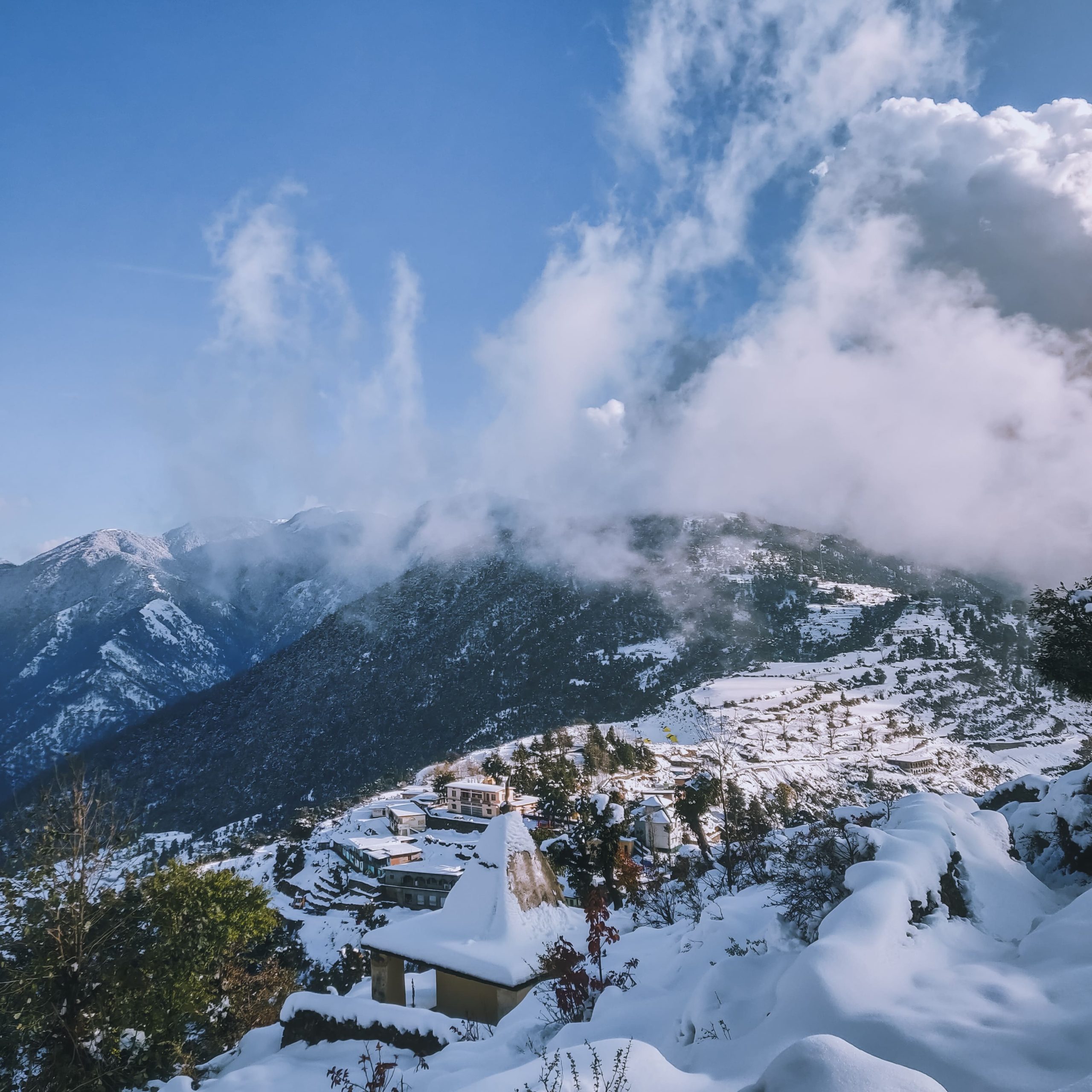 Manali tour