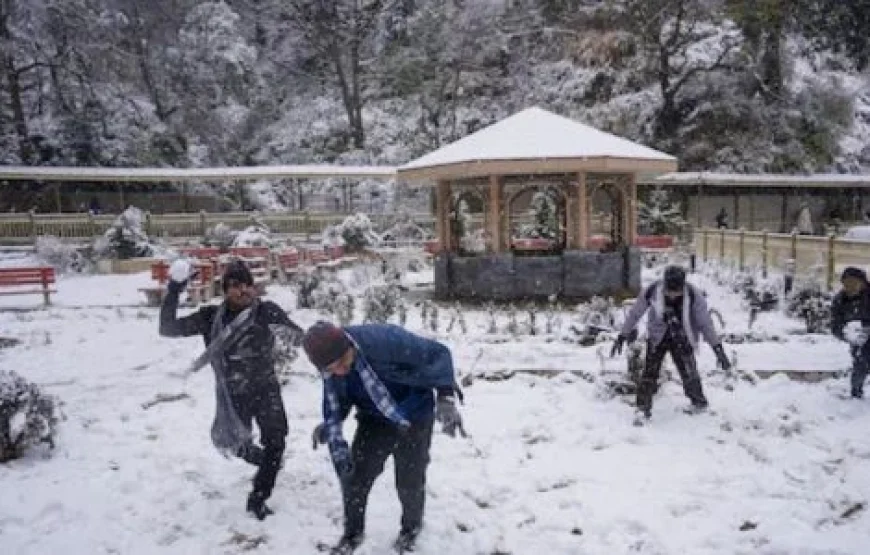 Delhi to Manali Tour Package – A Himalayan Retreat